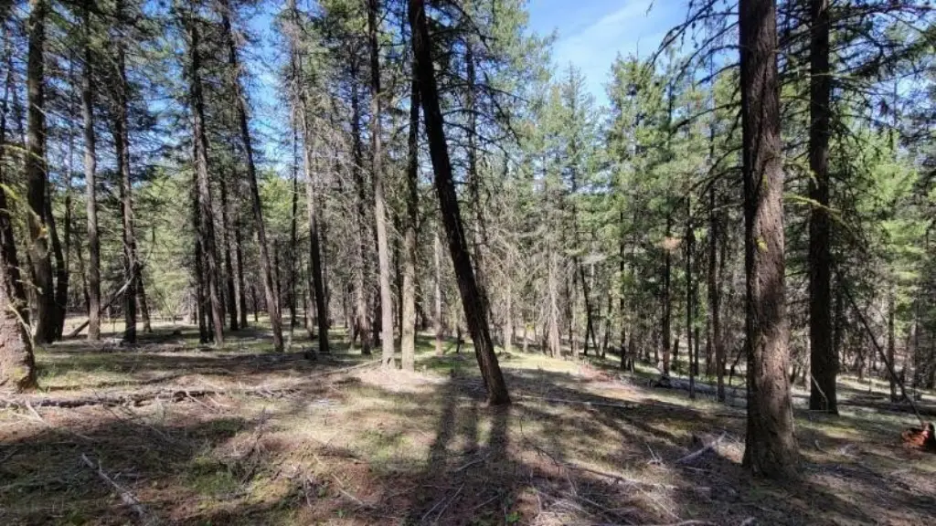 Picture 32