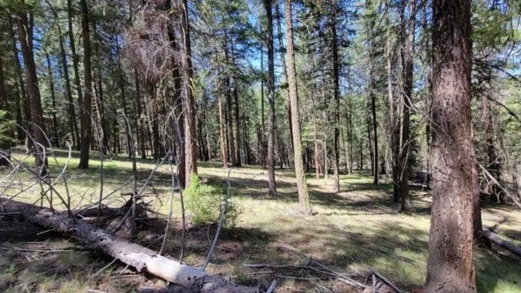 Picture 19