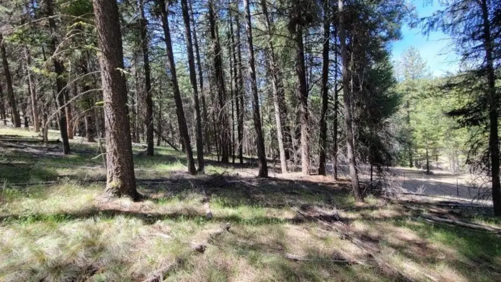 Picture 33