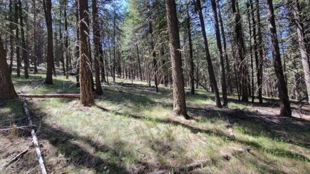 Picture 42