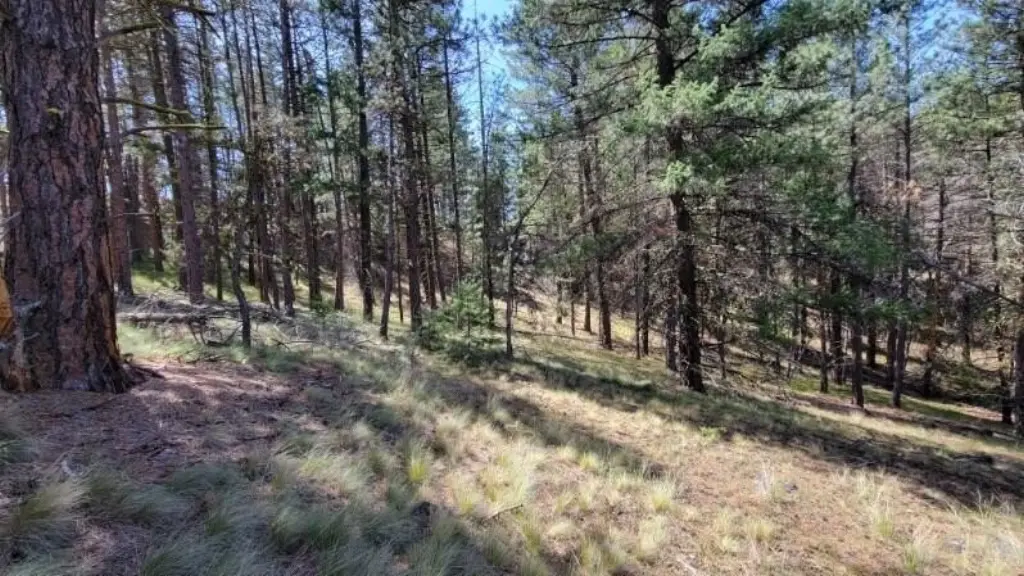 Picture 37
