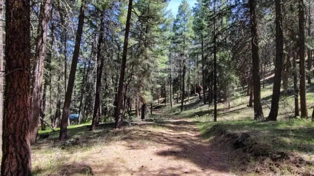 Picture 48