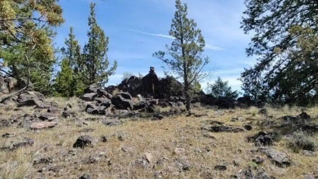 Picture 13
