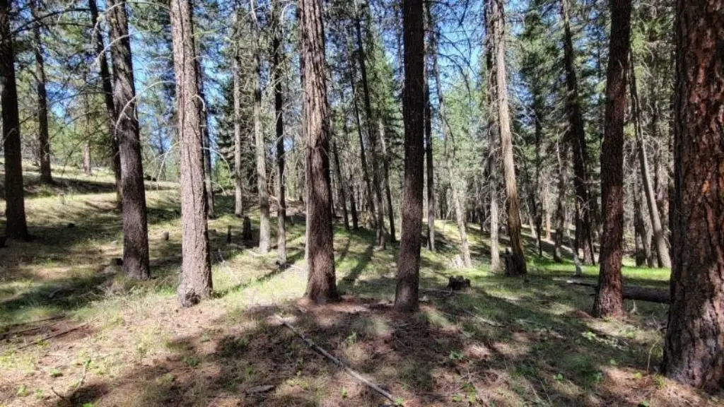 Picture 22