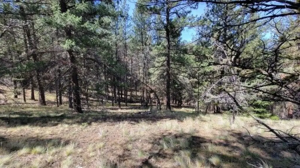 Picture 27