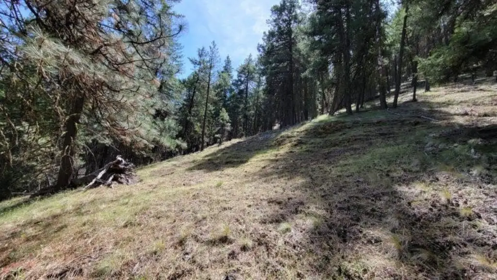 Picture 23