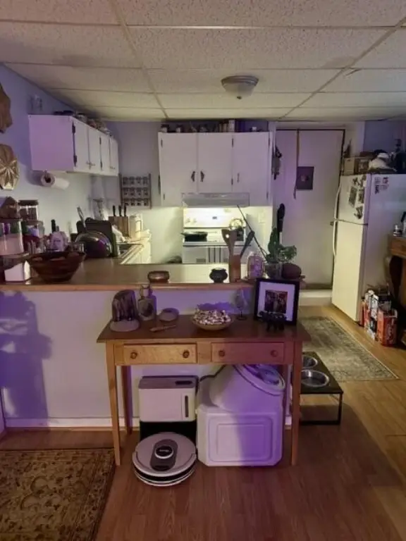 Picture 29