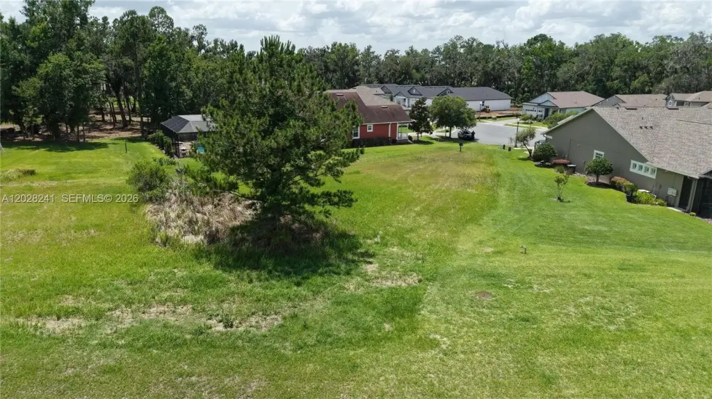 Picture 12