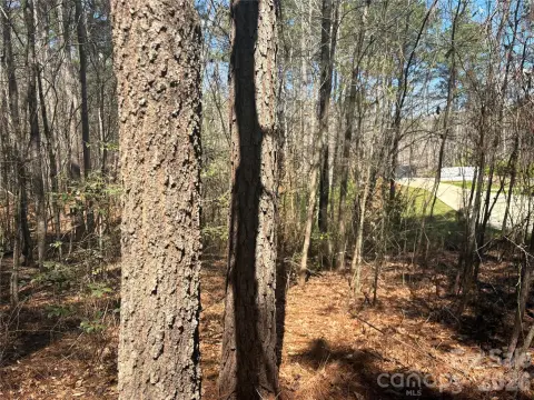 Residential Land Near Lake Norman