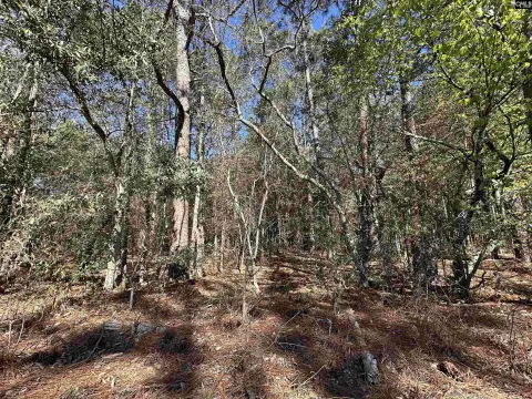 Gaston Homesite with Acreage