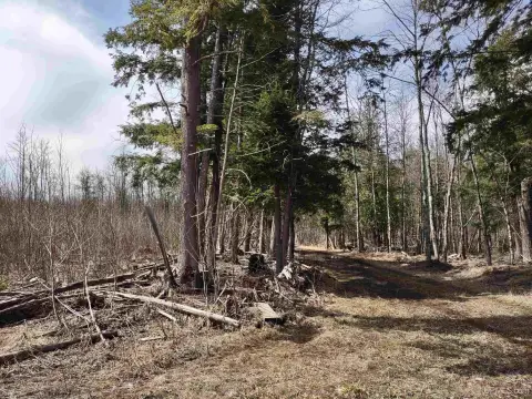 Michigan Land Parcel For Sale