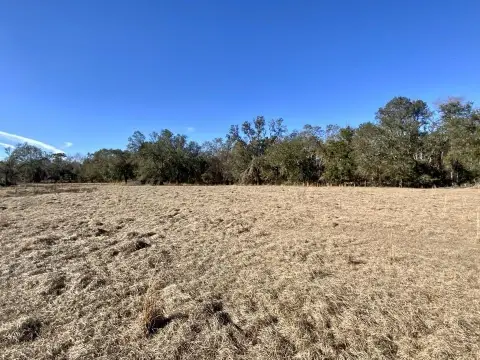 Serene 39-Acre Retreat in Madison, FL