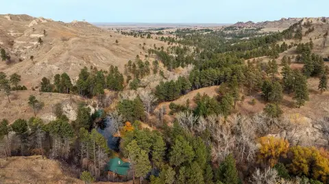 Crawford Farm/Estate with Cabin