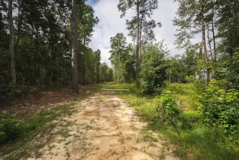 Land Near White Lake