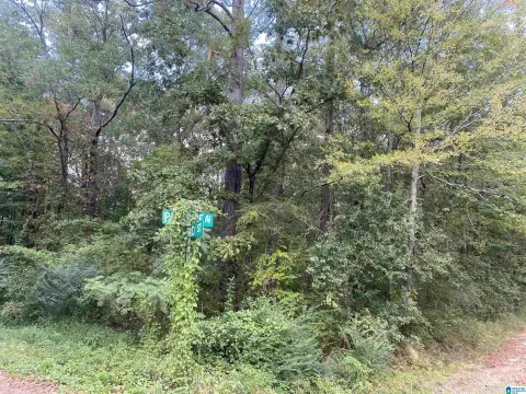 Land Lots in Gadsden, AL