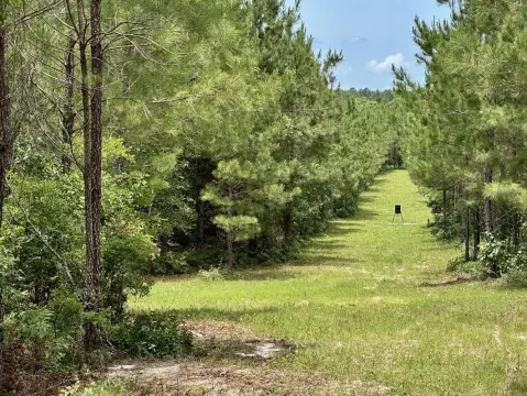 Eastman, GA Vacant Land