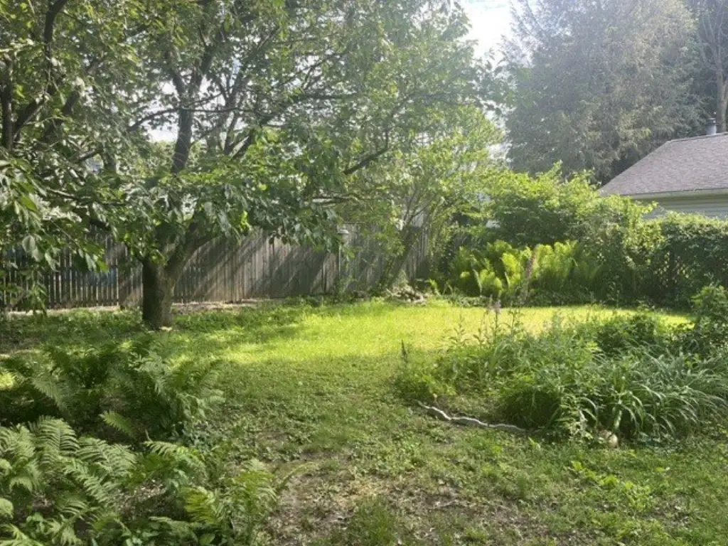 Picture 8