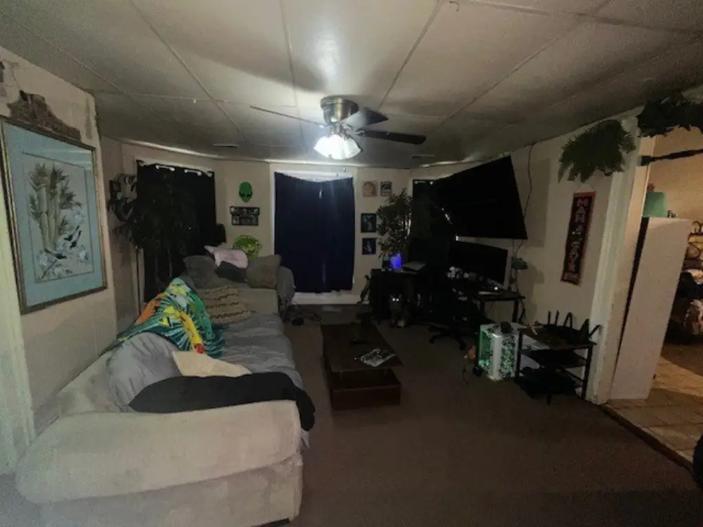 Picture 10