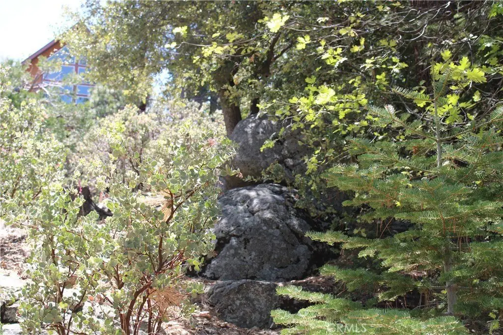 Picture 16