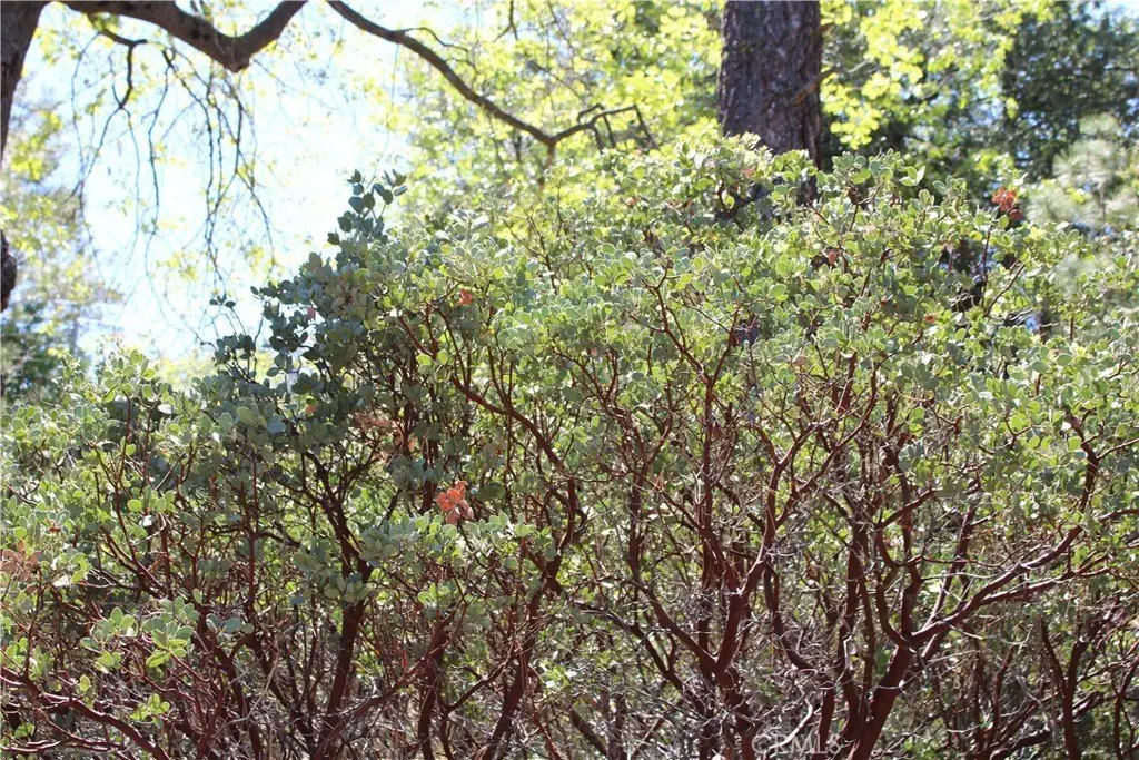 Picture 7