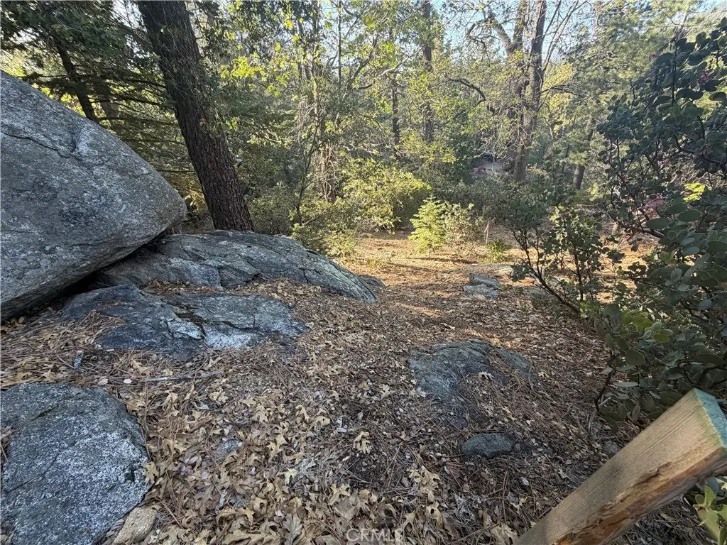 Picture 23
