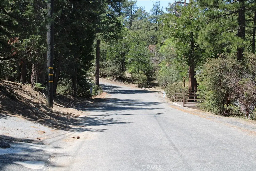 Picture 17