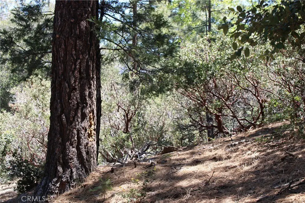 Picture 15