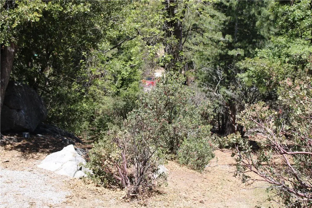 Picture 11