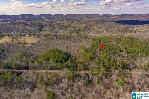 43 Acres in Trussville, AL