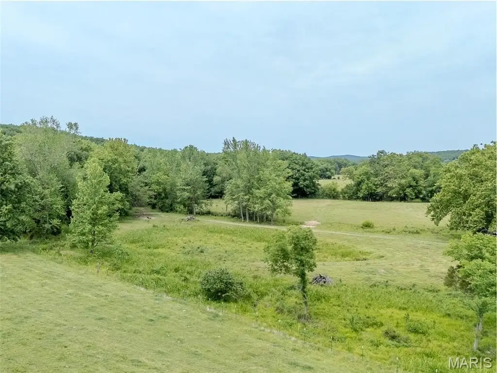 Picture 43