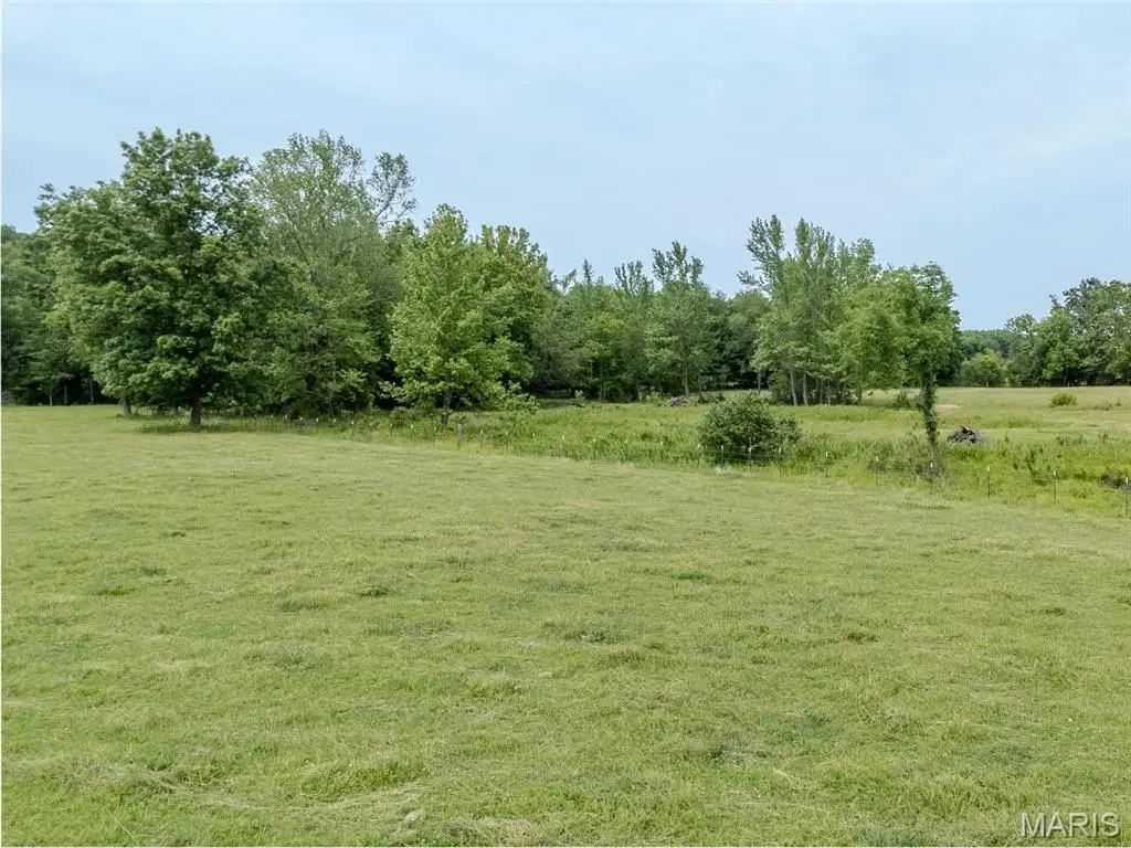 Picture 44