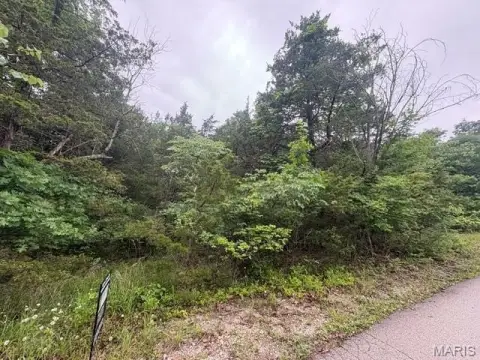 Raintree Plantation Land Opportunity
