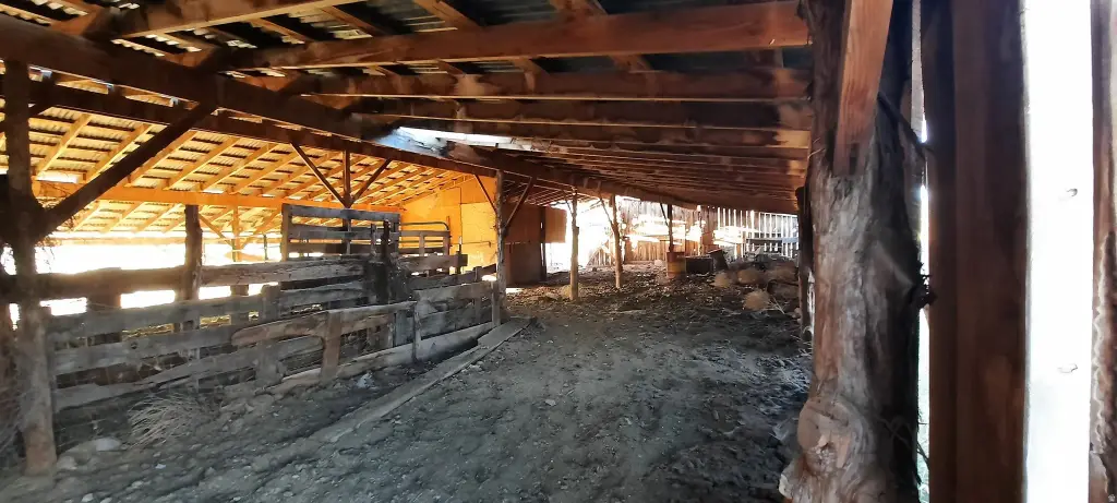 Picture 18