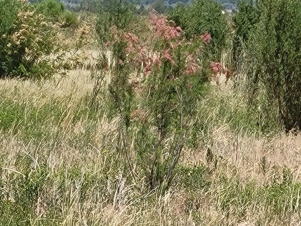 Picture 24