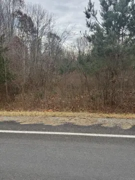 8 Acres Wooded Land Parcel