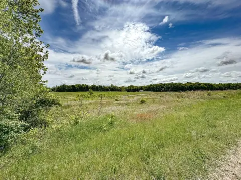 Sprawling Land Parcel in Niles