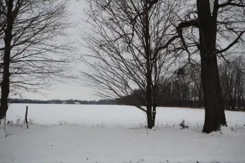 Vicksburg Land with Building Potential