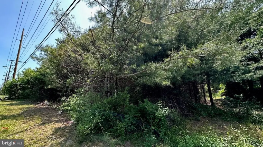 Picture 3