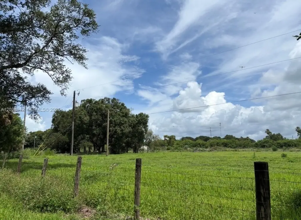 Picture 31