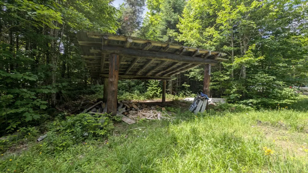 Picture 4