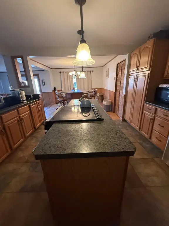 Picture 5
