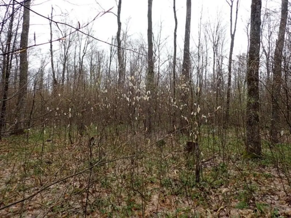 Picture 16