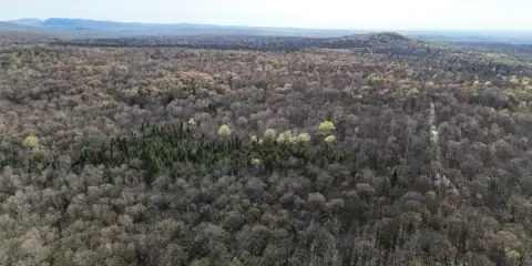 Recreational Land with Internal Trails