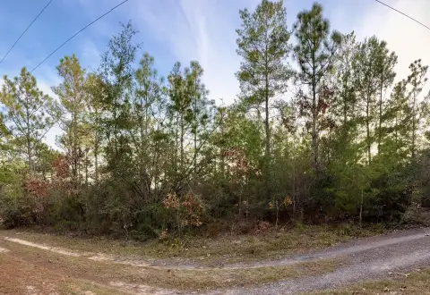 Versatile Homesite in Oakwood Hills