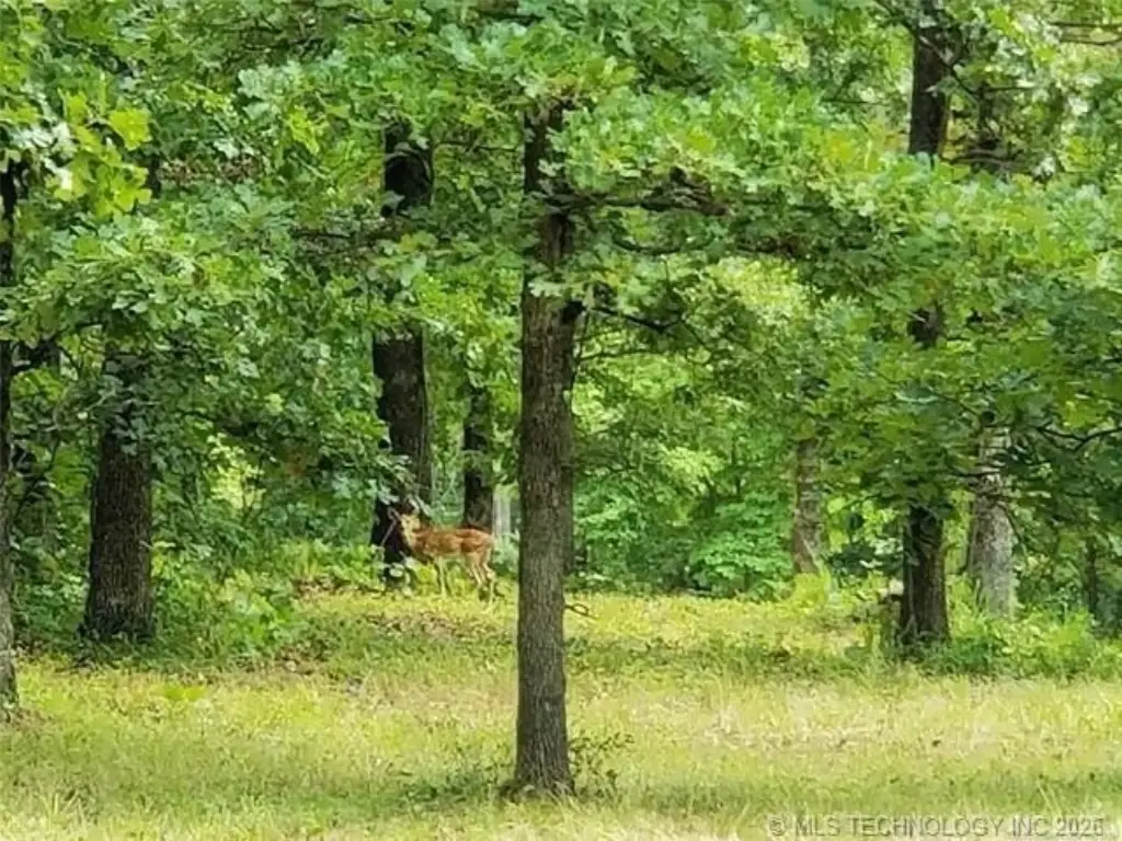 Picture 21