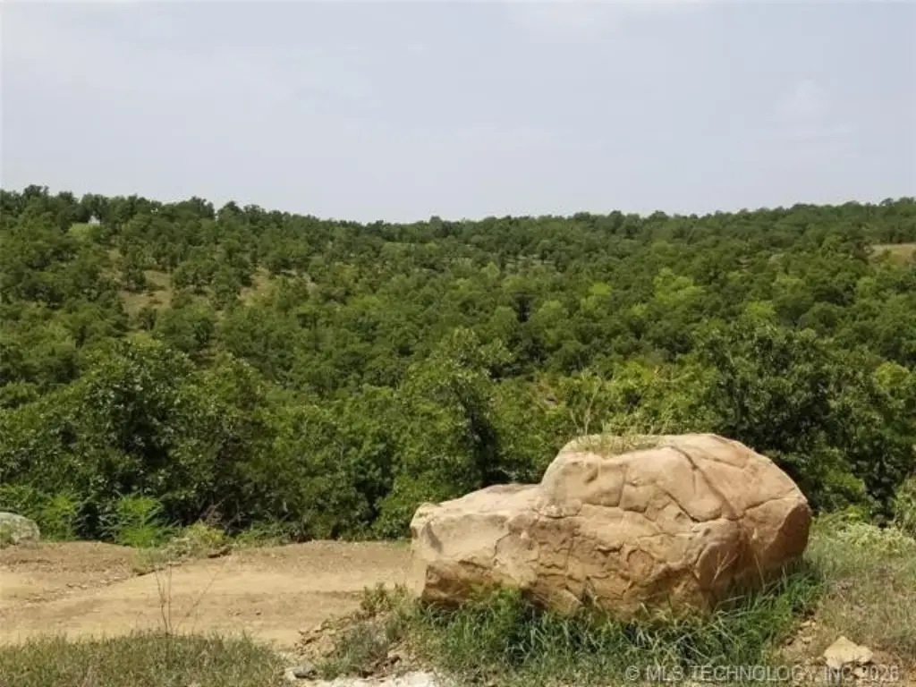 Picture 30
