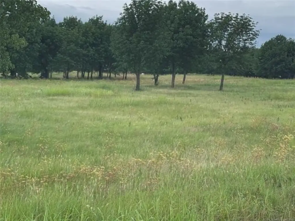 Picture 4