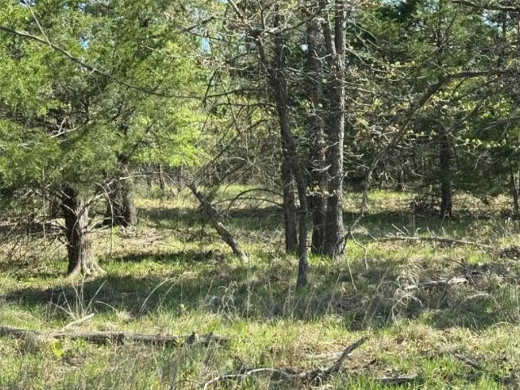 Picture 5