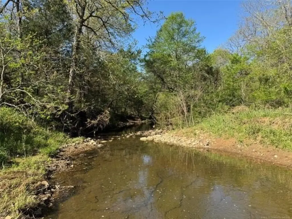 Picture 31