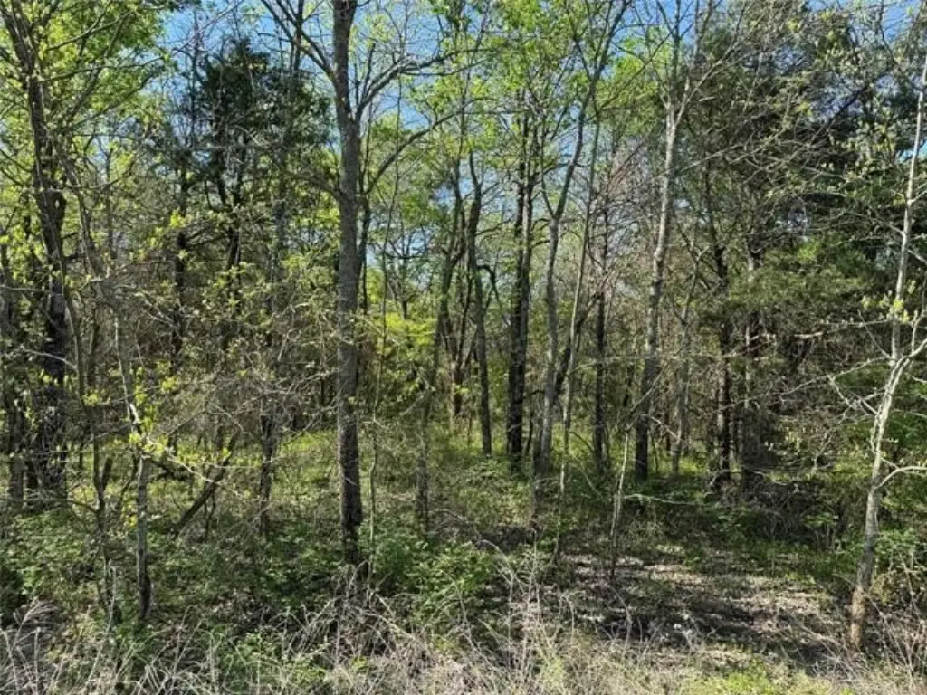 Picture 43